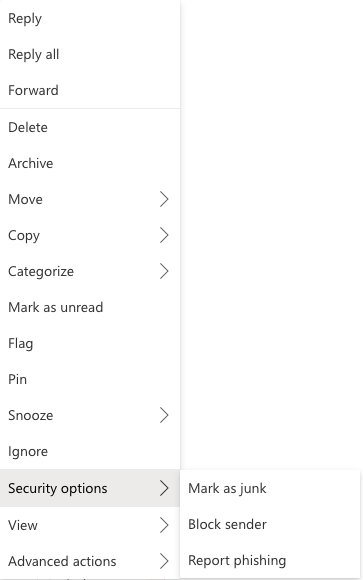 Menu of Outlook Online's Email Security Options